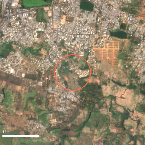Sentinel-2 image, 4 by 4 km, around Dharmapuri; ring shows 500 m radius