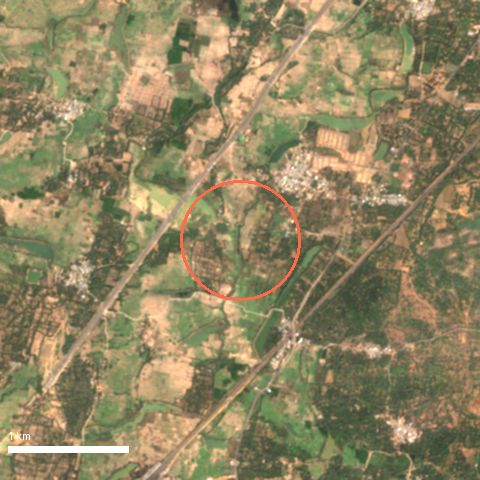 Sentinel-2 image, 4 by 4 km, around Bheemali; ring shows 500 m radius