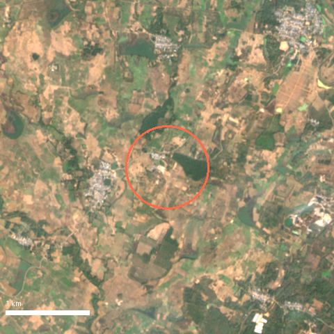 Sentinel-2 image around Putturu